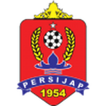 Team's logo